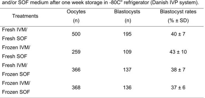 Table 1 – Blastocyst rates of bovine embryos produced in vitro from fresh or frozen IVM  and/or SOF medium after one week storage in -80C o  refrigerator (Danish IVP system)