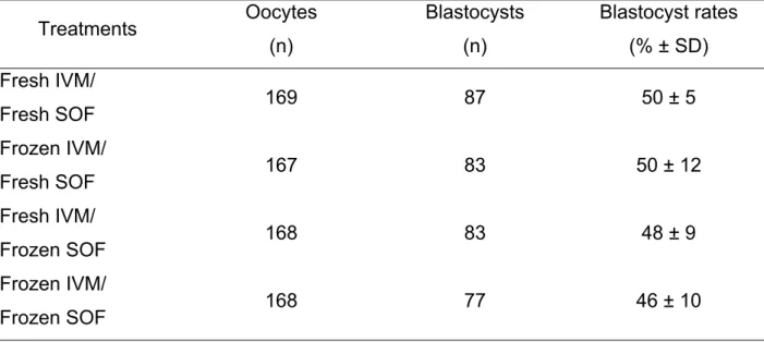 Table 3 – Blastocyst rates of bovine embryos produced in vitro from fresh or frozen IVM  and/or SOF medium (Brazilian IVP system)