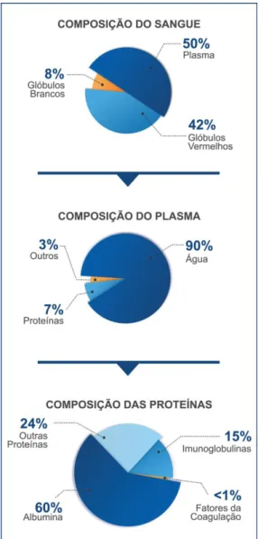 Figura 2 - Composição do sangue total até a as proteínas de coagulação 