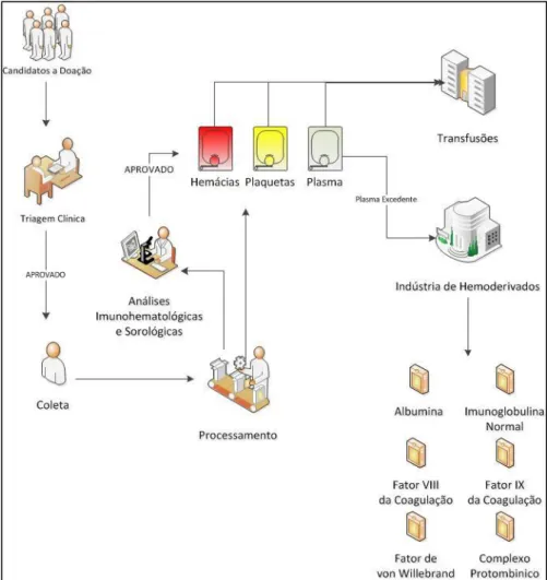 Figura 3 - Ciclo do sangue para a produção de Hemoderivados   Adaptado do manual de hemovigilância (BRASIL, 2007) 