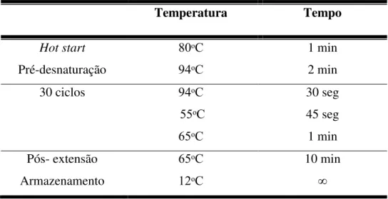 Tabela 5: Programa utilizado durante a etapa de amplificação da fusão de P1-1 e P1-2.