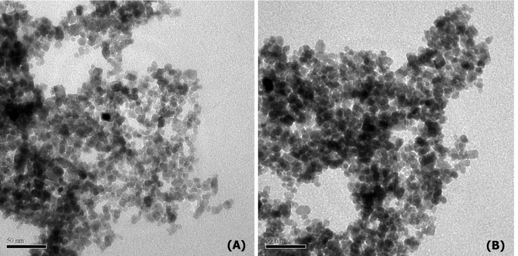 Figura 4.3. Microscopia eletrônica de transmissão da distribuição de nanopartículas magnéticas de Fe 3 O 4 