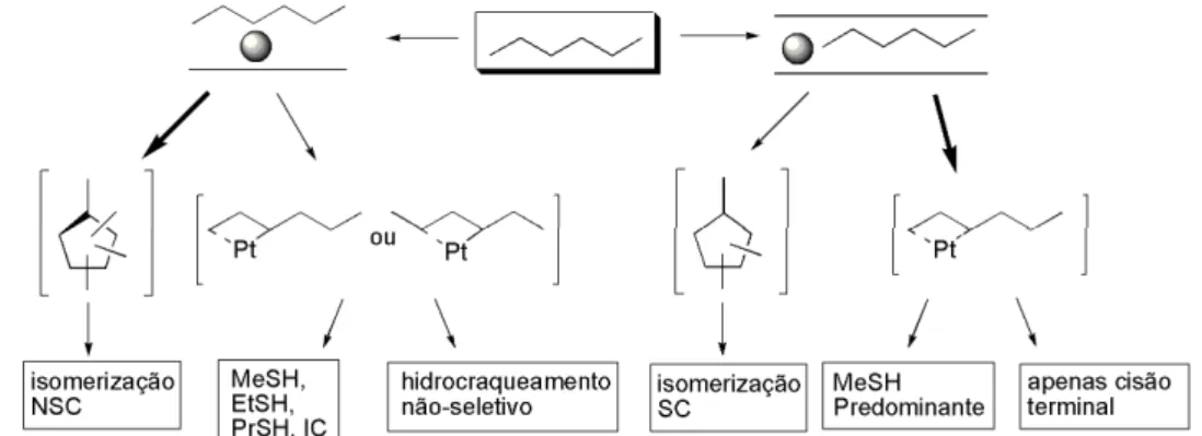 Figura 15: Esquema demonstrativo do efeito do suporte no hidrocraqueamento do hexano -  Adaptada de Ivanova, 1996 58 