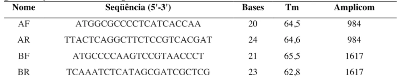 Tabela  8  -  Demais  oligonucleotídeos  utilizados.  Em  negrito  os  sítios  de  restrição  e  sublinhado a sequência Histag