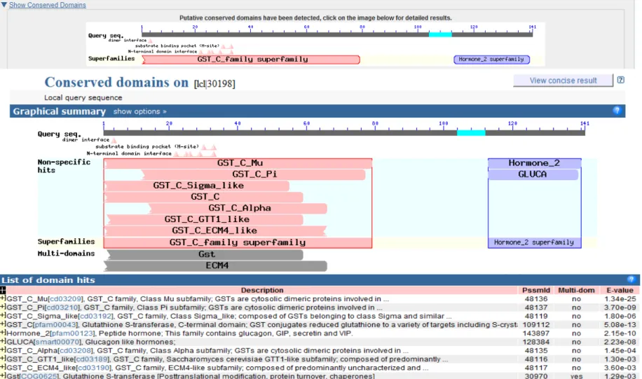Figura 17. Análise da sequência da amostra 5 feita pelo banco de dados ORF Finder do NCBI