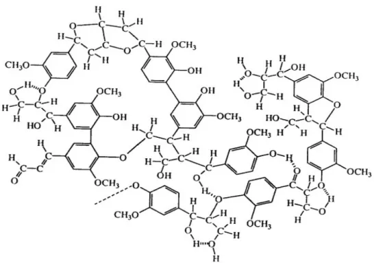 Figura 4: Modelo de estrutura da lignina 14