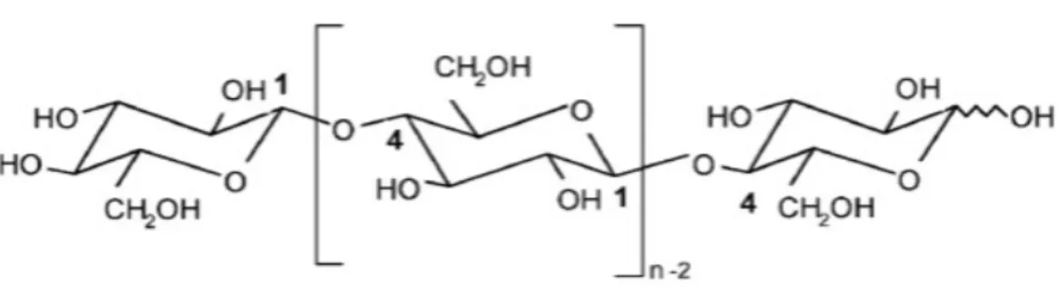 Figura 7 - Estrutura molecular da celulose (n = GP, grau de polimerização). 31