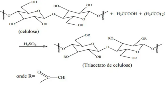 Figura 9 - Esquema da reação de produção do triacetato de celulose 37