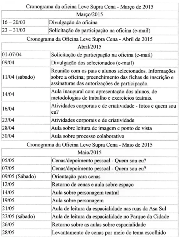 Figura 3 – Cronograma de execução 1