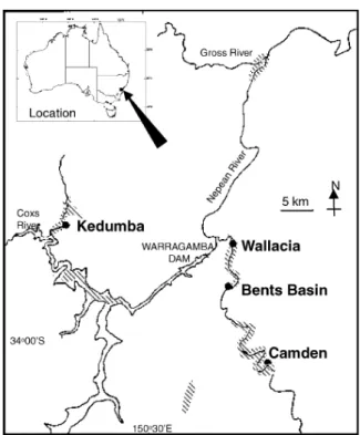 Figura 1 - Mapa de distribuição natural de E. benthamii na Austrália (BUTCHER et al.,  2005)