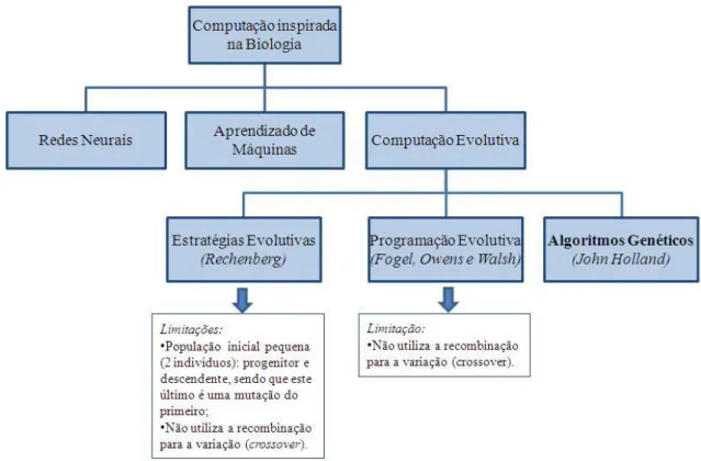 Figura 5.1  –  Ramificação da Computação Inspirada na Biologia 