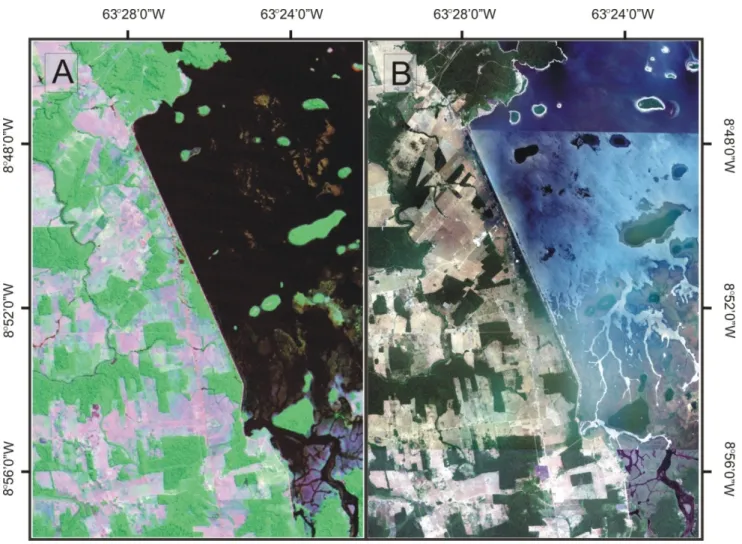Figure  4.  (A)  TM/Landsat-5  image  on  15  July  2009,  color  composite  345  (RGB)   and (B) high-resolution imagery archives from Google Earth