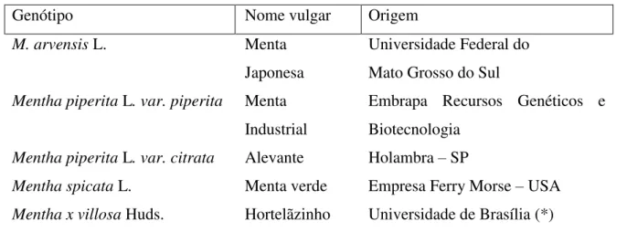 Tabela 1. Acessos de Mentha spp pesquisados, nomes vulgares e procedência. 