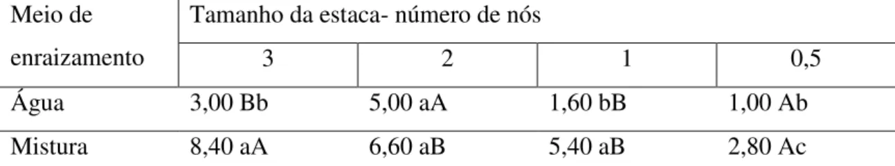 Tabela 5. Médias do número de ramos de Mentha piperita aos 50 dias de cultivo referentes a dois meios de  enraizamento e quatro tamanhos de estacas de rizoma aéreo