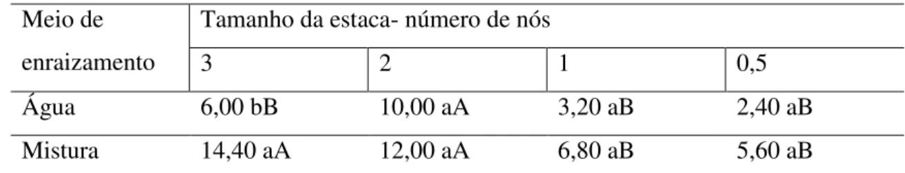 Tabela 7. Médias de massa fresca(g) de plantas de Mentha piperita aos 50 dias de cultivo referentes a dois  meios de enraizamento e quatro tamanhos de estacas de rizoma aéreo