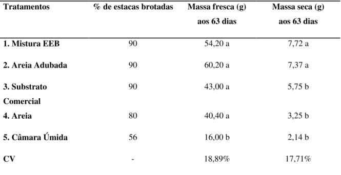 Tabela 9. Médias das massas fresca e seca de estacas de Mentha piperita aos 35 dias pós-transplante,  previamente enraizadas por 28 dias em cinco meios de enraizamento