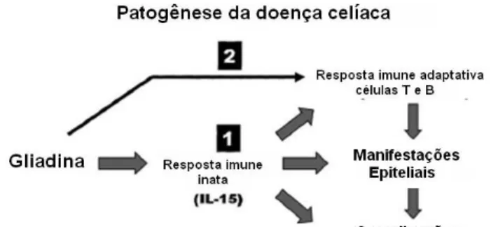 Figura 2. Imunopatogênese da doença celíaca 