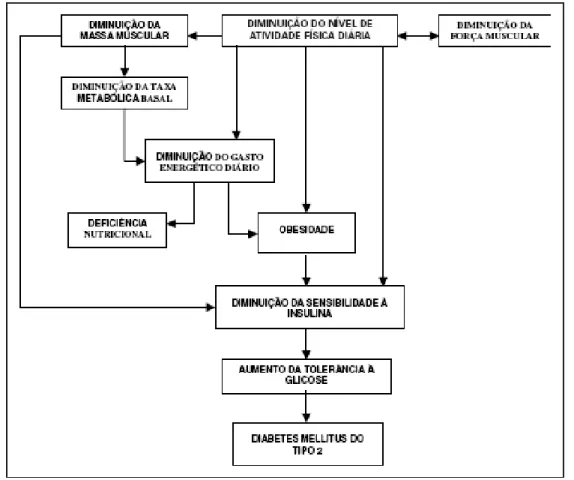 Figura 01. Relação entre níveis reduzidos de atividade física, obesidade e  resistência à insulina (adaptado de Ciolac; Guimarães, 2004)