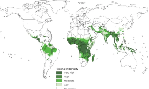 FIGURA 1 - Distribuição global do risco de transmissão da malária, 2003. 