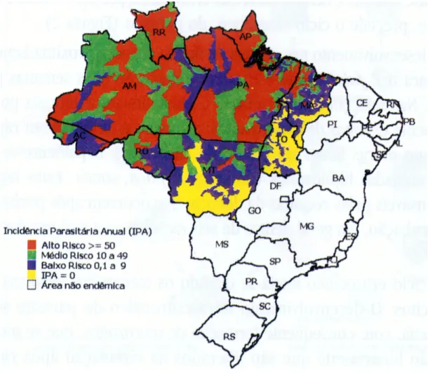 FIGURA 3 – Classificação das áreas de risco para malária, segundo a incidência  parasitária anual (IPA) e o local provável de infecção