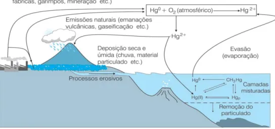 Figura 3  –  Ciclo do Mercúrio. 