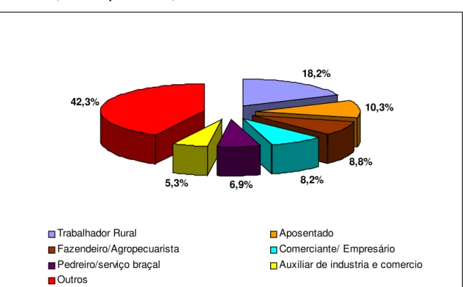 Figura 01- Distribuição percentual dos indivíduos, segundo ocupação, sexo  masculino, Quirinópolis – GO, 2003