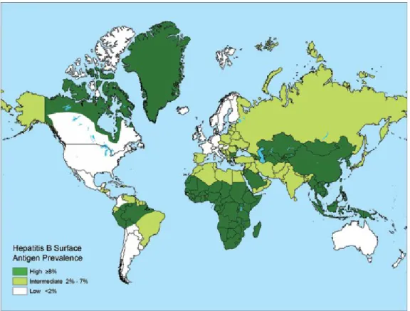 Figura 4:  Prevalência mundial da infecção pelo vírus da hepatite B. 