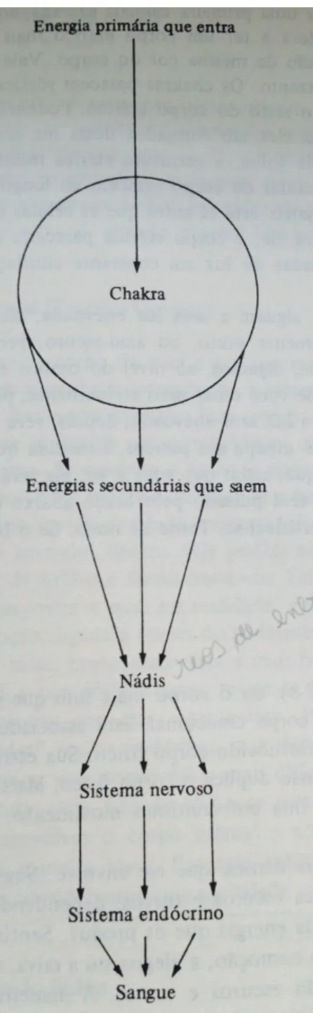 Figura 7  – “O caminho metabólico da energia entrando no corpo” . Retirado do livro de  Brennan (1997), Mãos de Luz, p