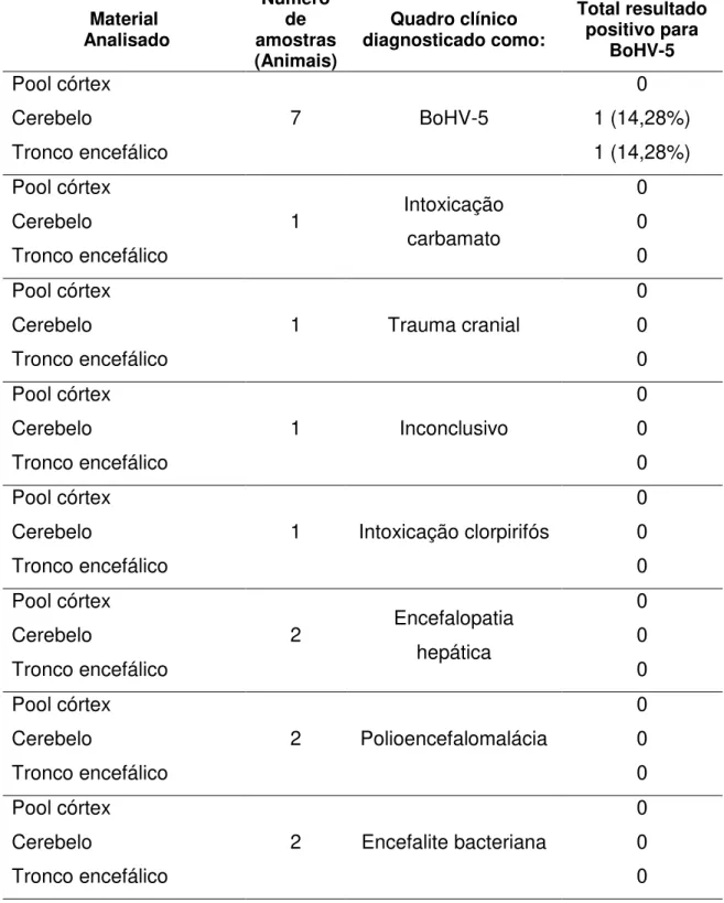 Tabela 2: Resultados das M-PCR para a detecção do DNA do BoHV-5 para detecção do DNA de BoHV-5 das amostras da Universidade Estadual de Londrina