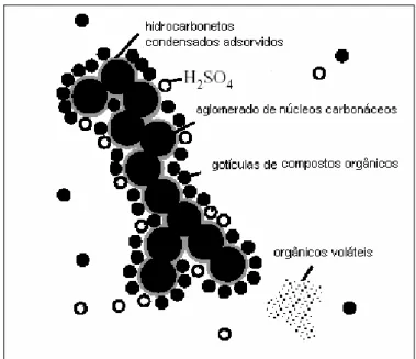 Figura  1.  Composição  química  do  particulado  de  diesel  (adquirida  da  referência 10 com adaptações) 