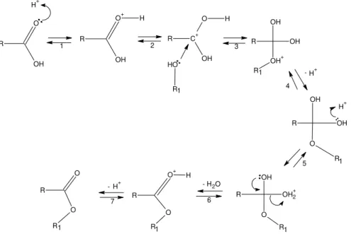 Figura  13.  Mecanismo  proposto  para  esterificação  de  ácidos  graxos  via  catálise ácida