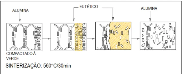 Figura 2.12 - Desenho esquemático da sinterização convencional de pós de alumínio  Fonte: Mourisco, 1995 (adaptado) 