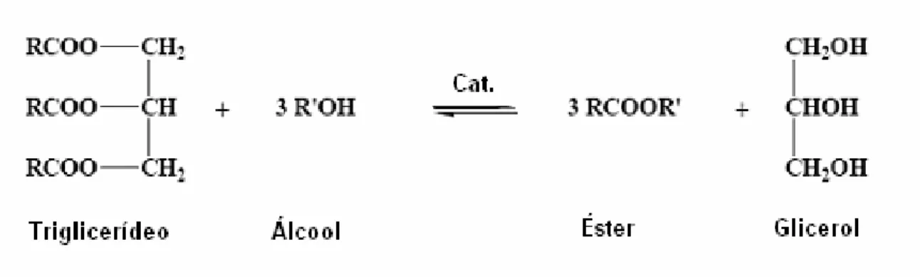 Figura 8: Reação de esterificação de óleo vegetal. 4