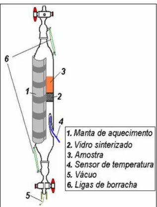 Figura 18: Esquema do reator de vidro construído no laboratório. 