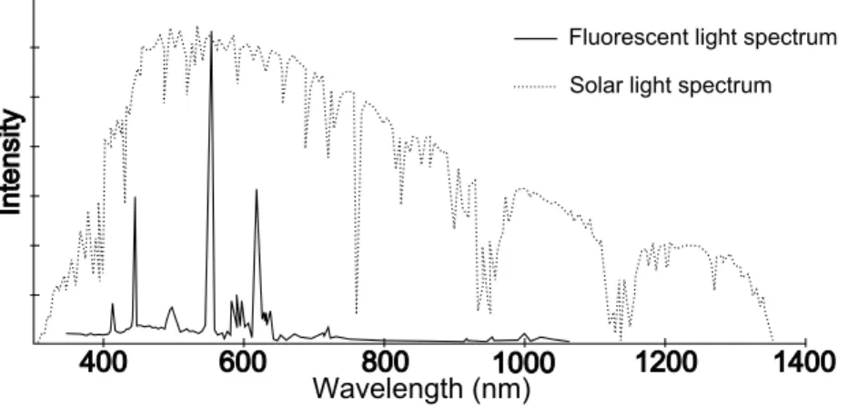 Figure 3.7: Typical solar light AM 1.5 and cold-cathode fluorescent light spectra.