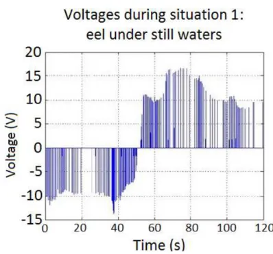 Figure 3.23: Voltage values with the eel swimming freely into the aquarium.