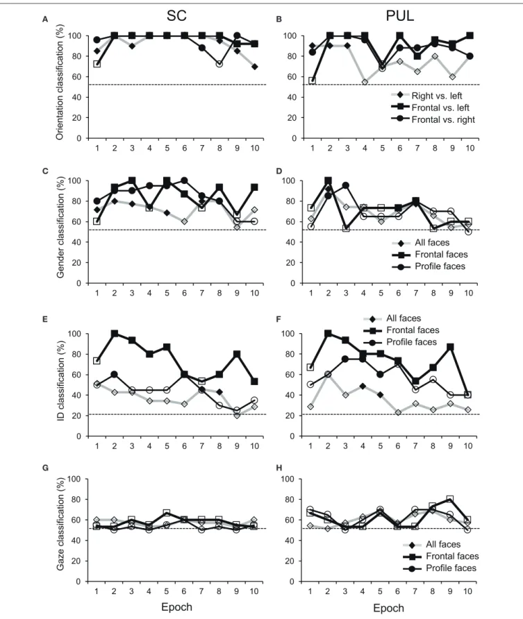 FIGURE 6 | Discriminant analyses of the facial stimuli in the MDS spaces in the SC (A,C,E,G) and pulvinar (PUL; B,D,F,H)