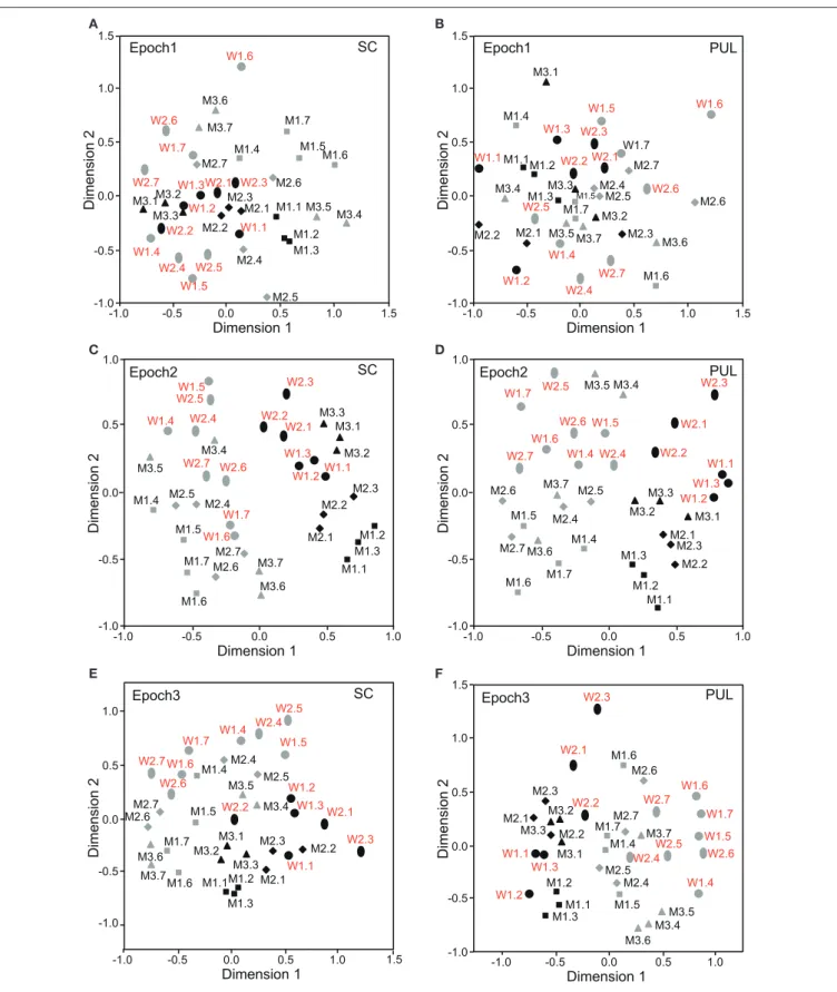 FIGURE 3 | Distributions of the 35 facial photos in the two-dimensional space resulting from multidimensional scaling (MDS) of the neuronal responses in epochs 1 to 3