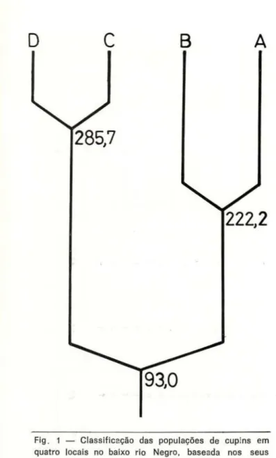 Fig. 1 — Classificação das populações de cupins em  quatro locais no baixo rio Negro, baseada nos seus 