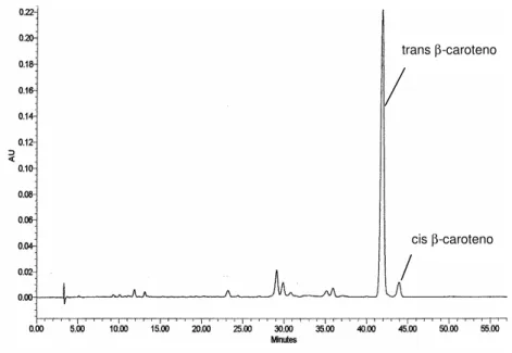 FIGURA  1  -  Cromatograma  obtido  por  HPLC  de  extrato  de  polpa  de  bocaiúva  em  450nm,  detector  de  arranjo  de  diodos