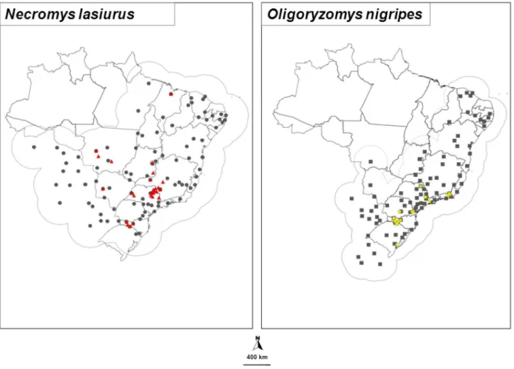Figure 1.  Distribution of rodent species.  Necromys lasiurus (circles) and Oligoryzomys nigripes (squares)