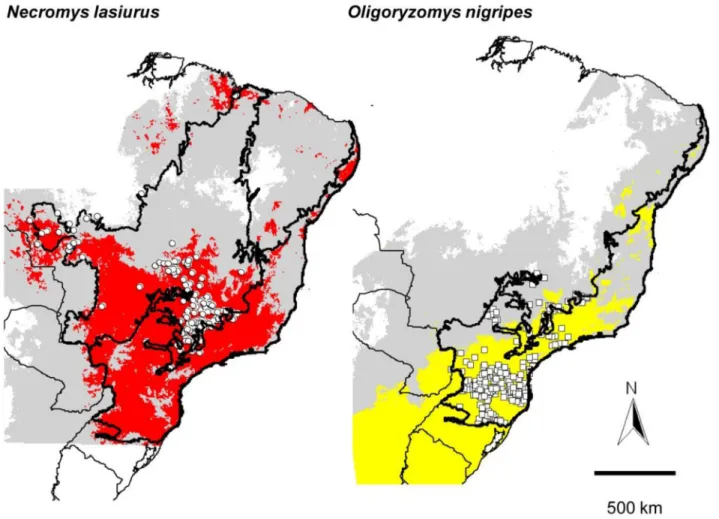 Figure 2.  Ecological niche models projected as potential distributions for rodent reservoirs of hantavirus in Brazil (gray shading)