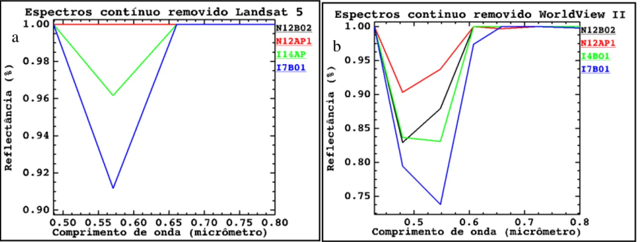Figura 5: Fluxograma sobre a formulação do índice espectral RHGt PF.