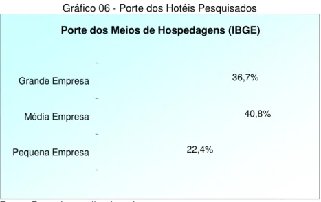 Gráfico 06 - Porte dos Hotéis Pesquisados 
