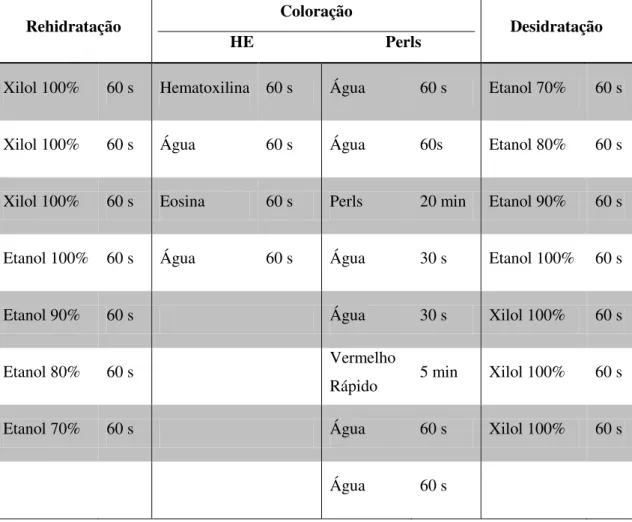 Tabela  3.  Processamento  para  coloração  com  hematoxilina  e  eosina  (HE)  ou  coloração  com  reagente de Perls