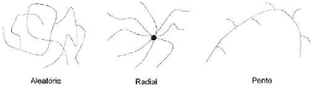 Figura 3. Cadeias poliméricas ramificadas com três exemplos de arquiteturas comuns. Fonte: CANEVAROLO  JR., 2006, p