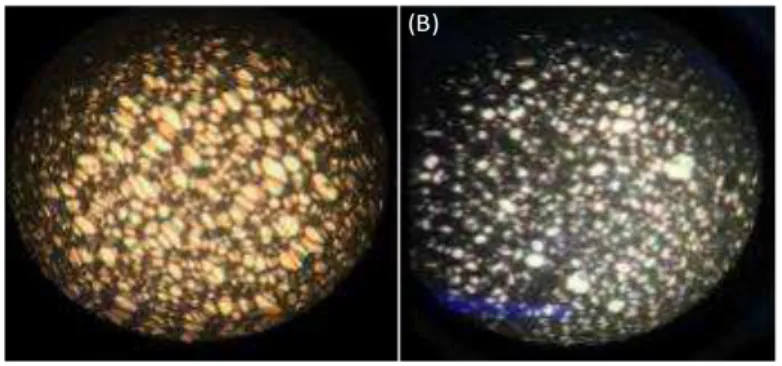 Figura  3:  Imagem  das  EPU  obtidas  por  microscopia  eletrônica   com  resolução  de  aumento de 40x