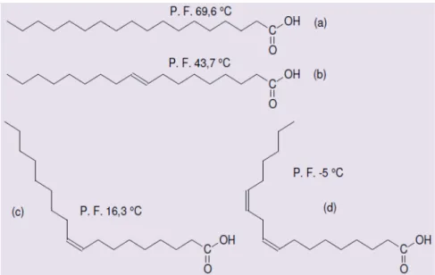 Figura 1: Estrutura geral dos ácidos graxos.