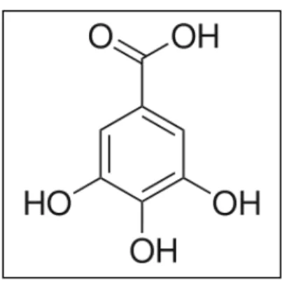 Figura 4: acido gálico. 