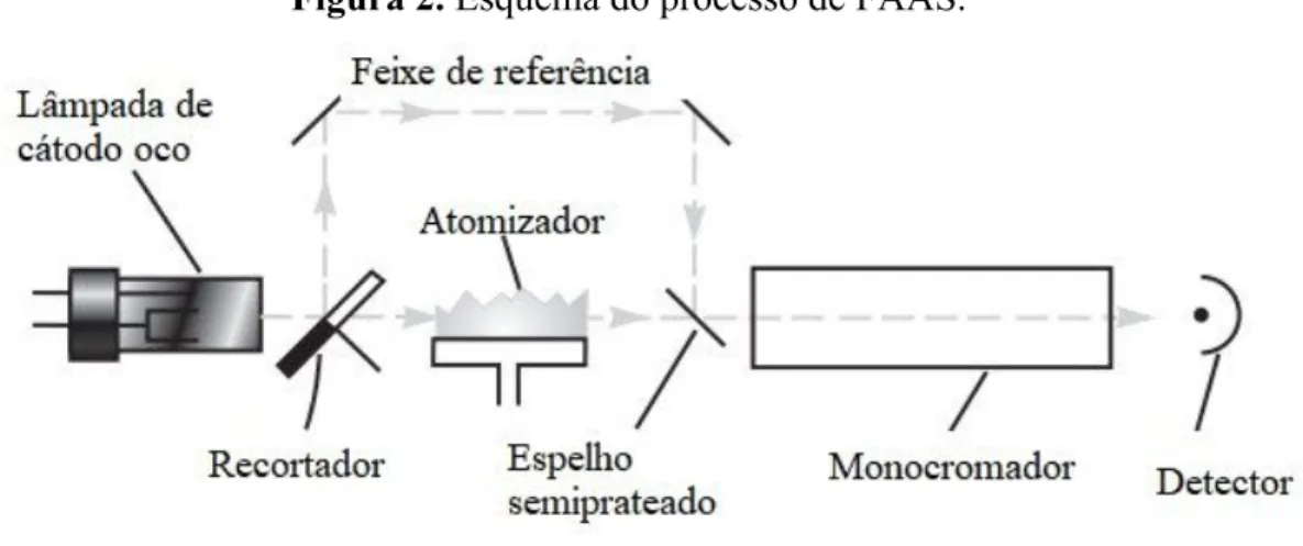 Figura 2. ​Esquema do processo de FAAS. 